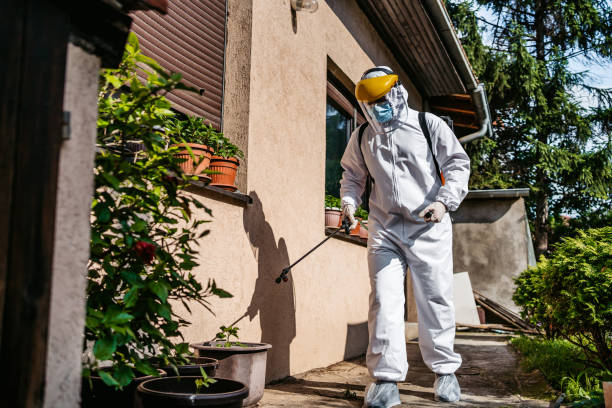 Best Flea Control Services  in Bull Run Mountain Estates, VA