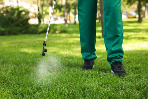 Best Ant Control Services  in Bull Run Mountain Estates, VA