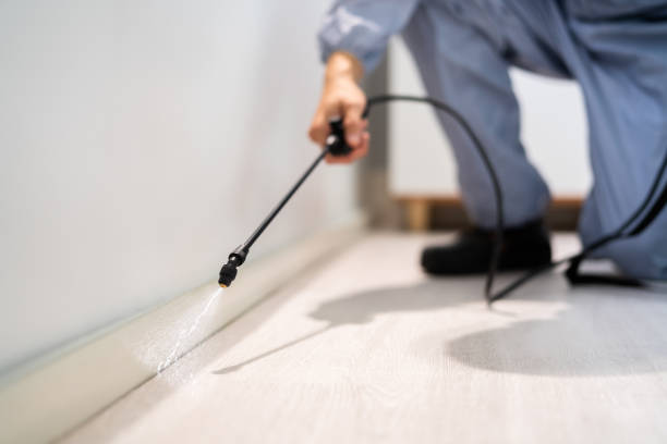 Best Pest Removal Services  in Bull Run Mountain Estates, VA