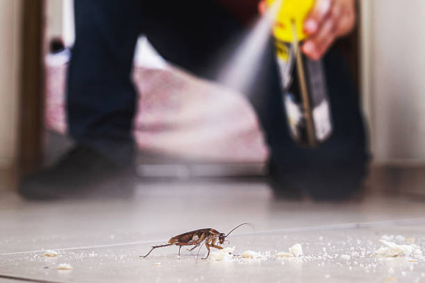 Best Pest Inspection Near Me  in Bull Run Mountain Estates, VA